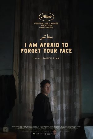 Poster - I am afraid to forget your face